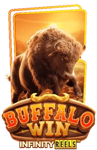 buffalo-win -แท่งหวย24.net